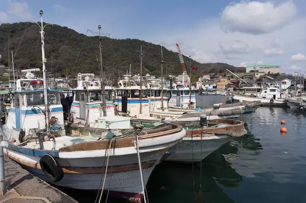 Boats on harbour (1)